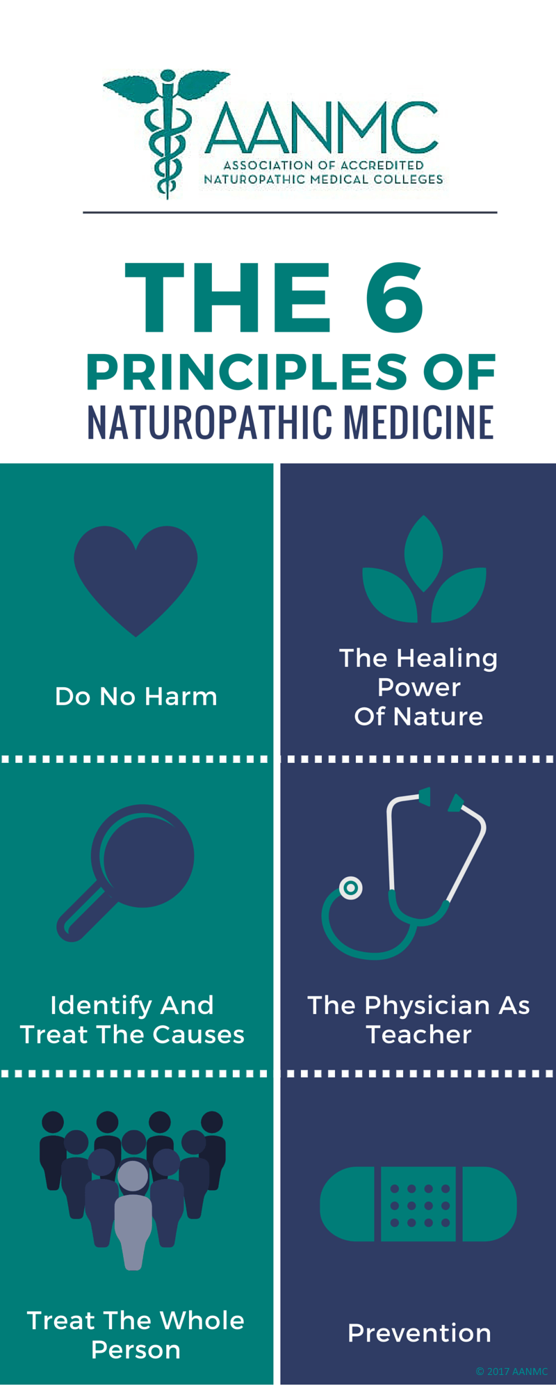 6-principles-of-naturopathic-medicine1