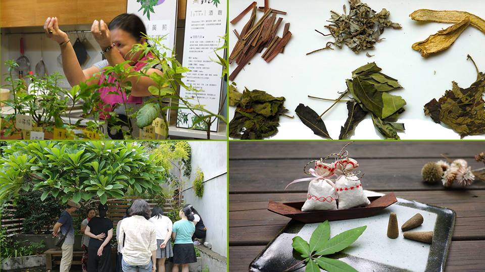 卑南阿嬤的植物園傳統藥草的生活應用與手作體驗│簡單喜悅