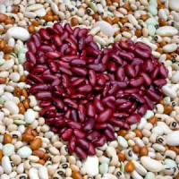 Heart shape symbol made from kidney beans