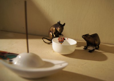 金錢鼠1組與小茶杯