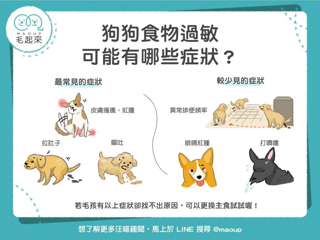 【汪汪康健】狗狗食物過敏，可能有哪些症狀？