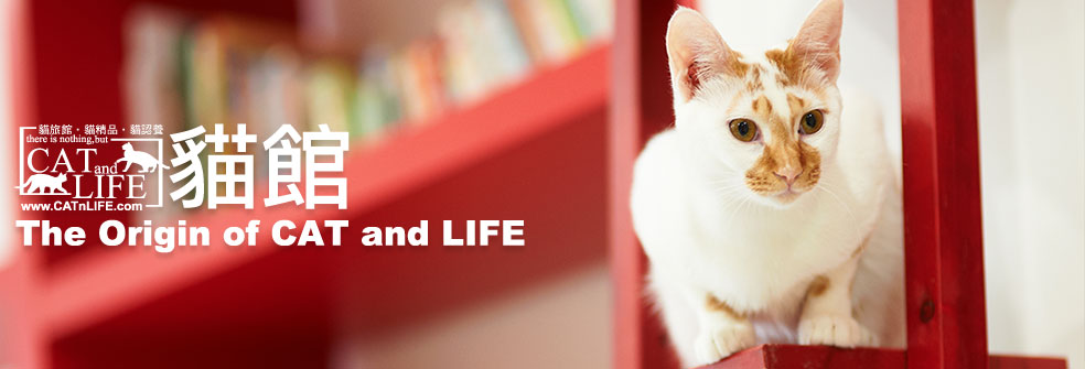 CAT and LIFE貓館
