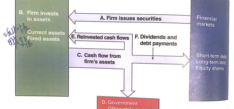 Business Finance – CH1 Introduction to Financial Management