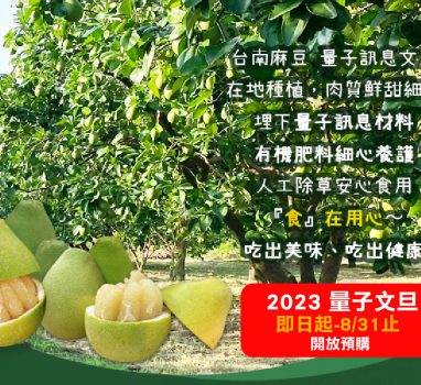 2023訊息文旦預告