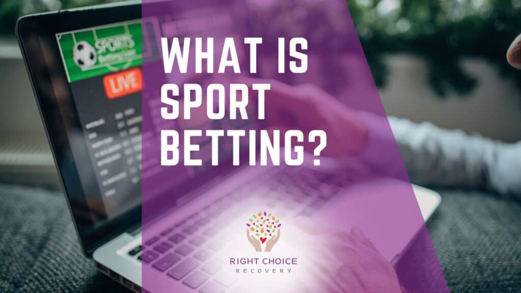 Comprehensive Bookmaker Comparison Guide Finding the Best Betting Experience