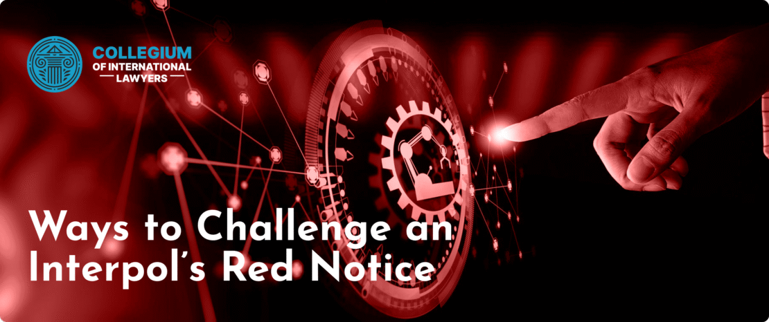 Understanding Legal Responses to Wrongful Alerts A Guide for Affected Individuals