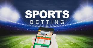 Discover the World of Betting with Betwinner 11