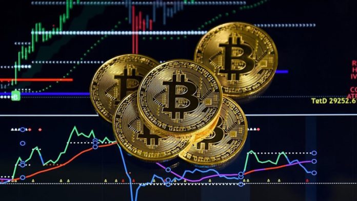 Entdecken Sie die Welt der Vertex Trize Ein neuer Maßstab für Innovation und Leistung